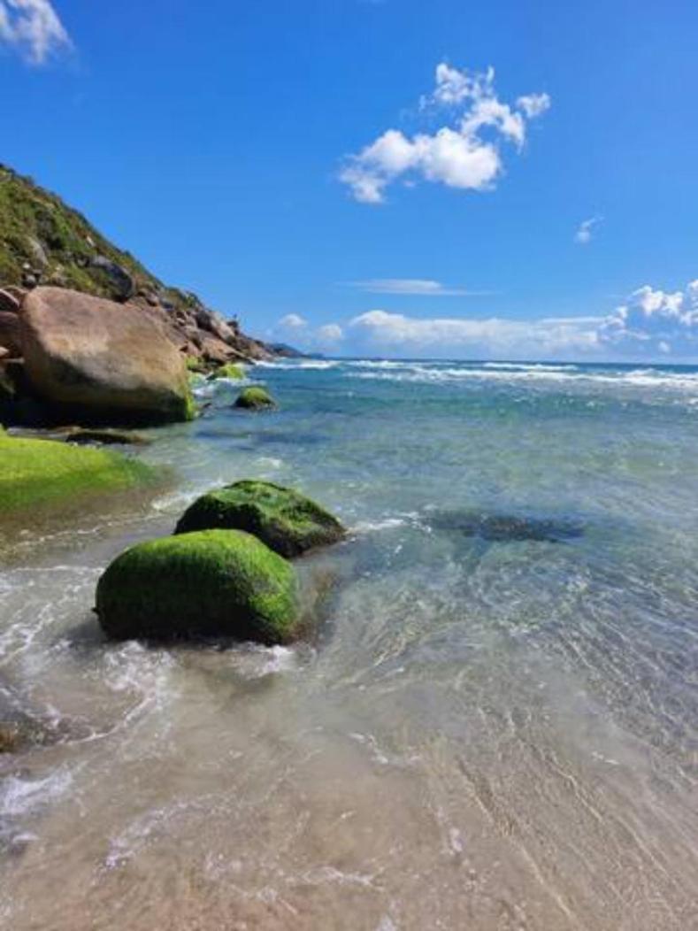 Ingleses Norte * Florianopolis
